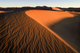 dune crest