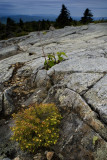 On top of Mt. Winslow, ...