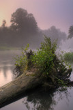 Current river at Pulltite