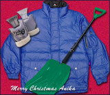 AnikaXmas1.jpg