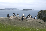 Shetland Islands
