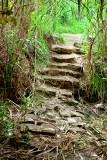 Stone Stairs - Jorden River