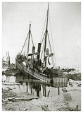 Kara Havet 22. Juli 1883