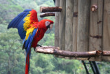 IMG_3752.jpg