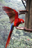 IMG_3753.JPG
