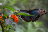 IMG_3767.JPG