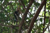 IMG_3857.JPG