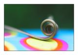 multicolour