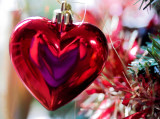 7 December - I heart Pbase!