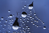 3 drops