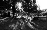 Eynsford Church shadows