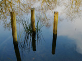 three posts