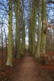 1 April - Walking...