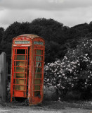 17 June - in search of poppies