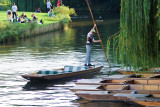 Punting