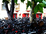 Billions of bikes