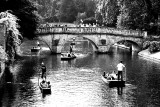 Punting