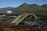 An old relic on Attu