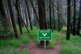 Robert-Frost-Lane.jpg
