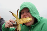 Corn-Architecture.jpg