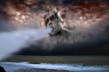Mr.-Wind.jpg