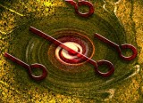 Whirlpool.jpg
