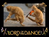 Lord-of-the-Dance.jpg