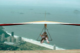 Kitty-Glider.jpg