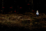 Dark-Crowd.jpg