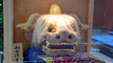 P1000164.jpg