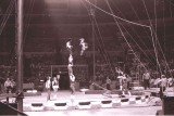 1971 circus - Cherry Very - tumblers