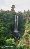 Thomsons Falls