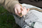 Another snake capture. (Physically and photographically!)