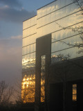 office building sunset window reflection
