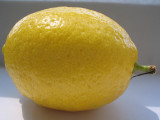 late afternoon lemon