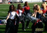 NFL Buffalo Bills cheerleaders - the Jills