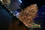 New York City Christmas at night