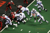 Nashville Kats FB Dan Alexander