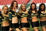 Univ. of South Florida cheerleaders