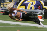 Baltimore Ravens cheerleader