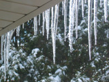 Icicles on the gutter