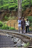 Railway in Nanu Oya