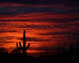 Arizona Sunset