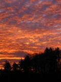 Clouds are the canvas the sun paints on