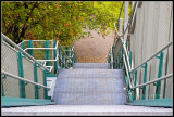 Stairs to the Don Bike Path