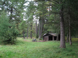 1667-the Green Timbers cabin