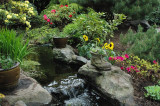Pretty Water Garden