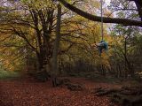 Rope swing