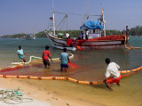 Hauling in the nets 2