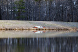 Waiting for Spring